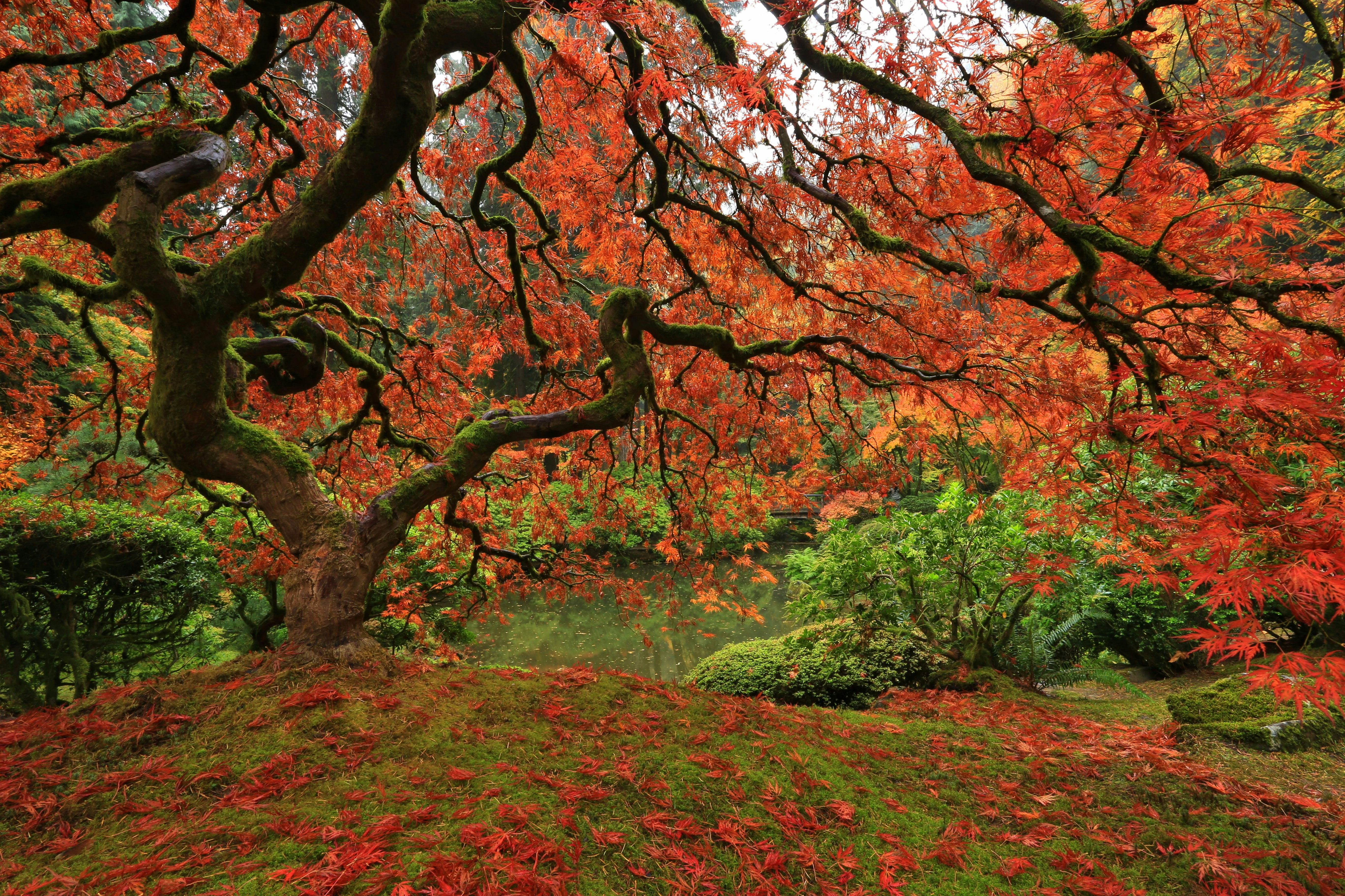 Nature, stillness, and beauty — the retreat aesthetic